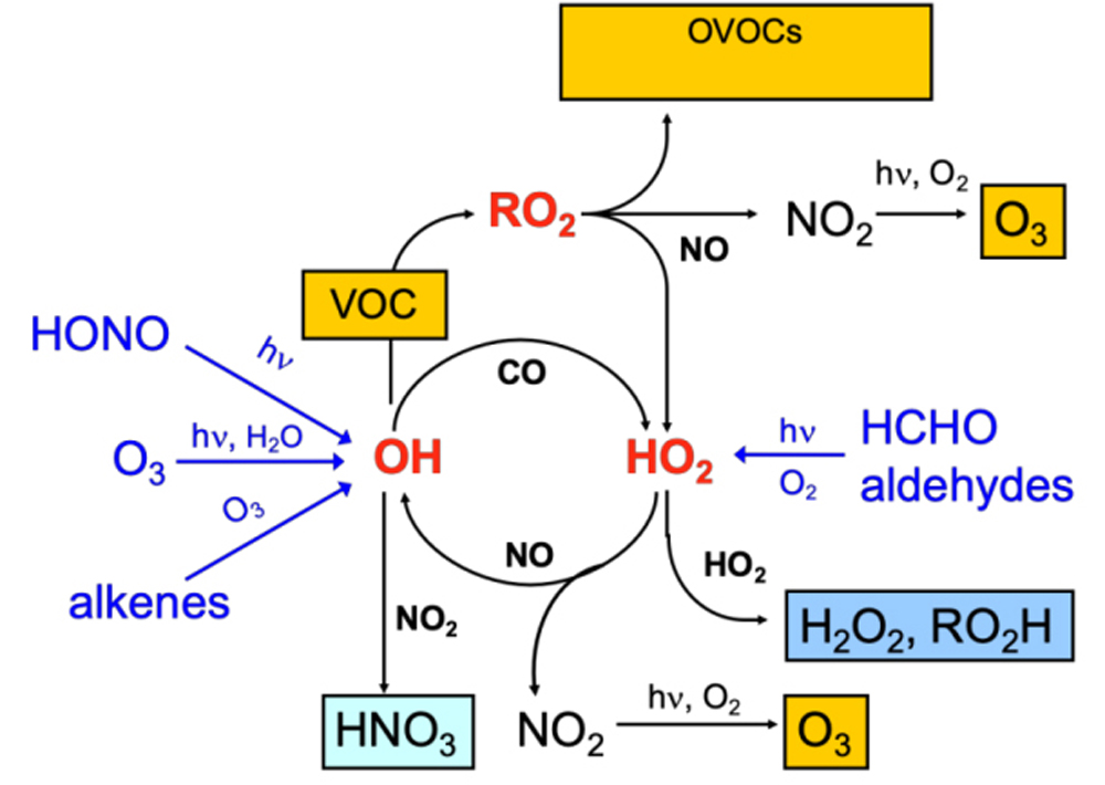 Ozone denitrification process